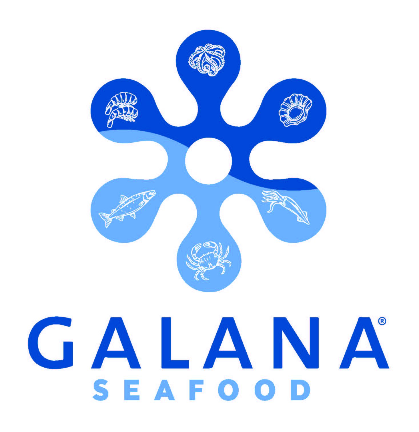 Logo firmy GALANA