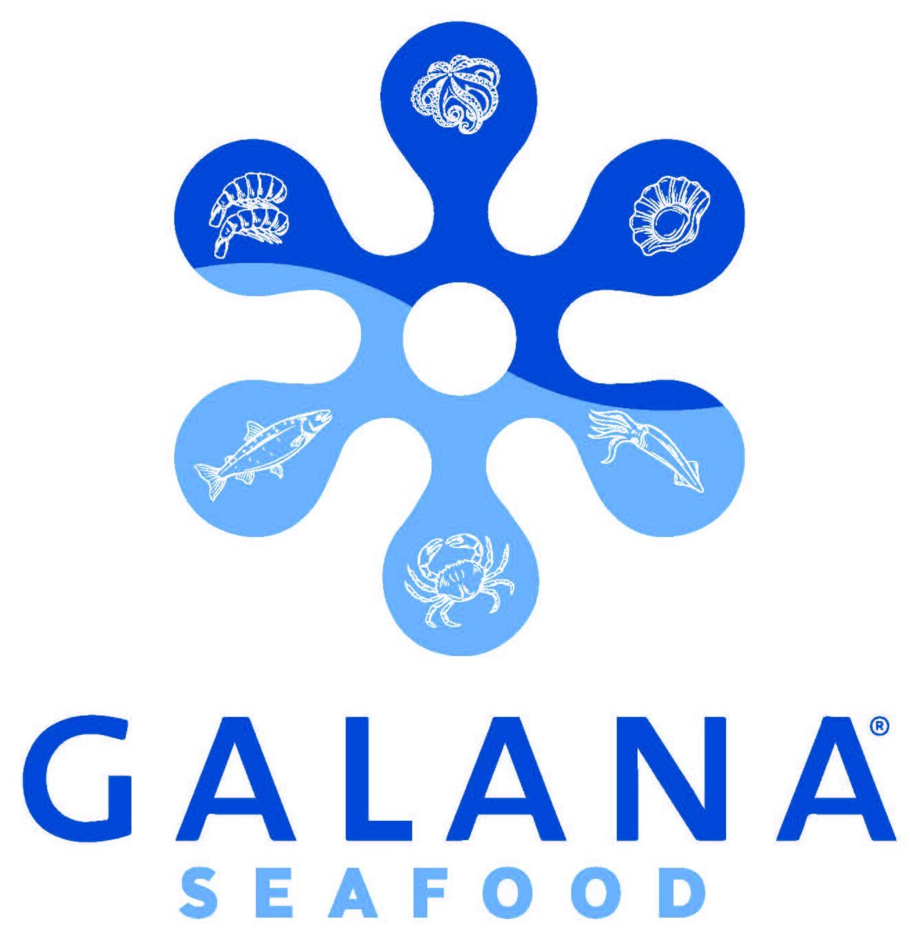 Logo firmy GALANA