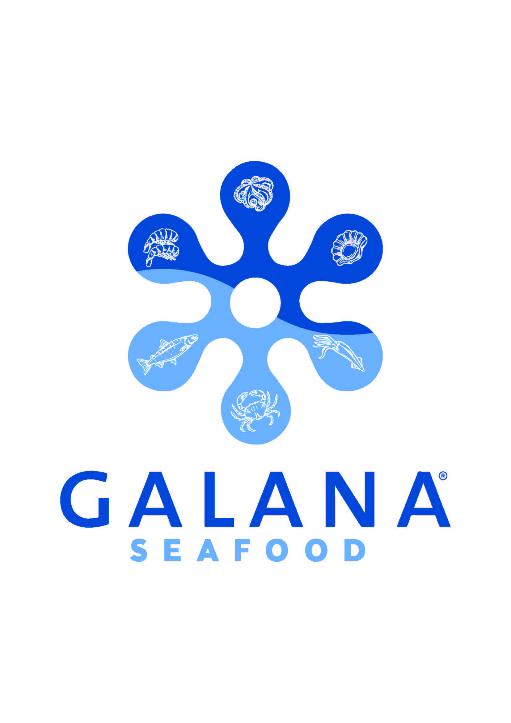 Logo firmy GALANA